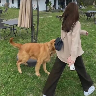女子推理社